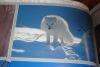DSC01335.JPG