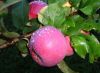 DSC01402.JPG