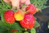DSC01410.JPG
