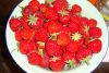 DSC01419.JPG