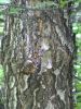 DSC01962.JPG