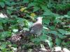 DSC01966.JPG