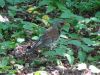 DSC01967.JPG