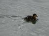 DSC01995.JPG