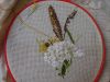 DSC02118.JPG
