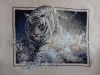 DSC02243.JPG