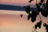 DSC04904.JPG