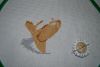 DSC04913.JPG
