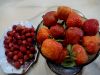 DSC05099.JPG