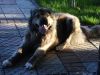 DSC05145.JPG