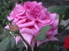 DSC05170.JPG