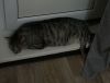DSC05951.JPG