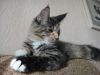 DSC06548.JPG