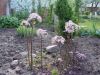 DSC08750.JPG