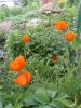 DSC08844.JPG