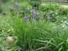 DSC09118.JPG