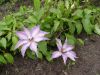 DSC09119.JPG