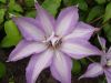 DSC09121.JPG