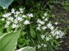 DSC09125.JPG
