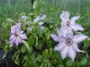 DSC09157.JPG