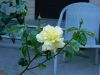 DSCN1619.JPG