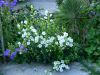 DSCN1621.JPG
