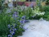 DSCN1624.JPG