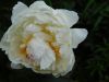 DSCN2868.JPG
