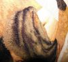 DSCN2920.JPG