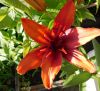 DSCN2938.JPG