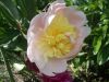 DSCN8944.JPG