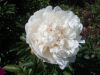 DSCN8945.JPG