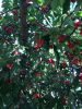 IMG-20160618-WA0003.jpg