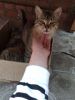 IMG-20160618-WA0004.jpg