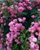 IMG-20160618-WA0006.jpg