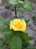 IMG-20160618-WA0011.jpg