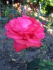 IMG-20160618-WA0014.jpg