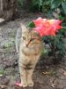 IMG-20160618-WA0019.jpg