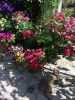 IMG-20160618-WA0022.jpg