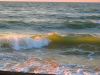 IMG_1171.jpg