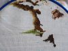 IMG_20160529_125209.jpg