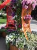 IMG_20160601_162145.jpg