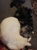 IMG_20160605_215810.jpg