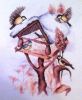 Orchidea 8058. Птичья кормушка