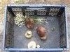 IMG_2087.thumb.JPG.35e4ee09b5c990a0cbd01