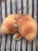 IMG_3826.thumb.JPG.b9ecc1263bb4f014e7218
