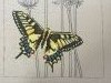 IMG_5326.thumb.JPG.400da8124e43015e49eb4