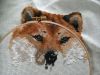 WIN_20160605_105219.JPG