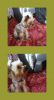 collage_photocat.jpg