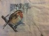 image.thumb.jpeg.c4b4546b1a5fa91879432e5